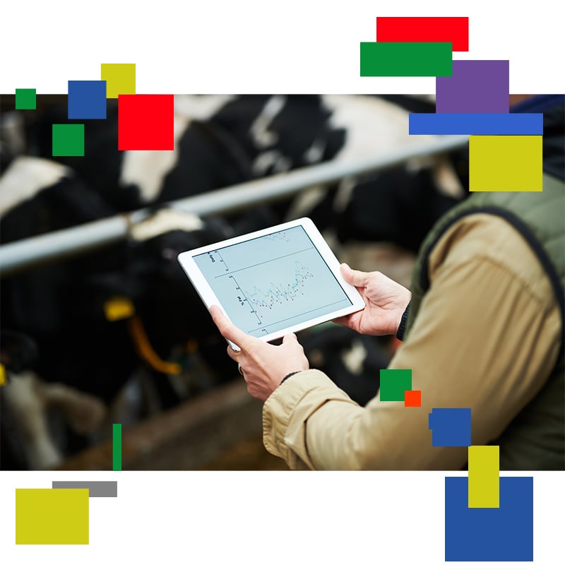 image-tablet-2