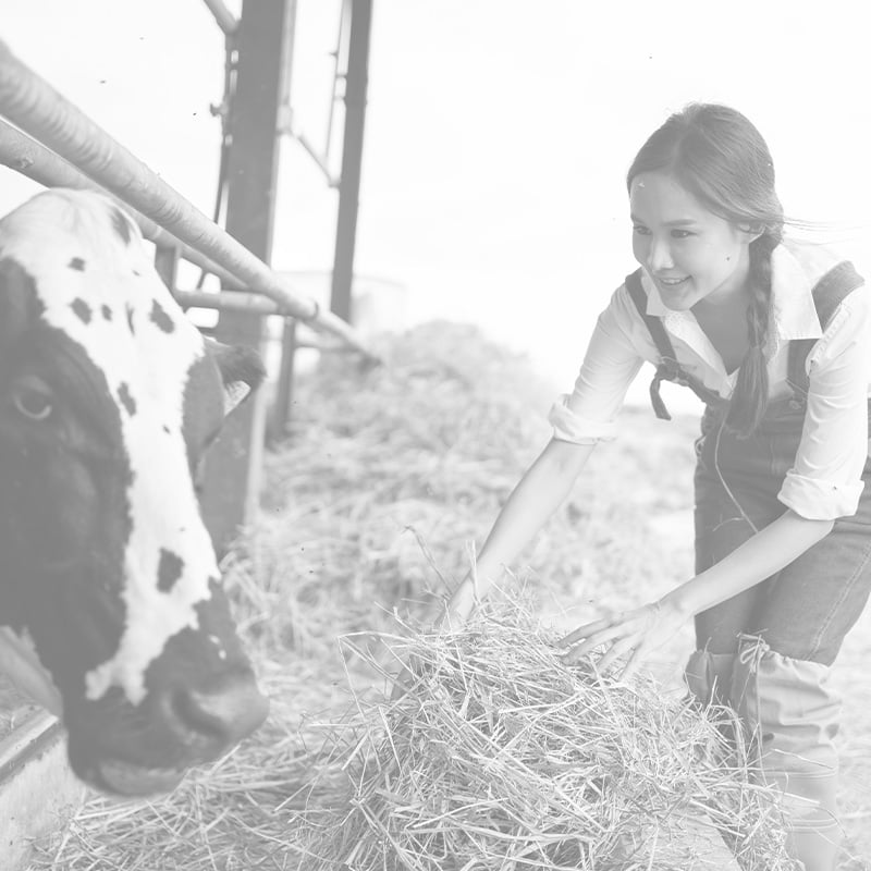 attractive-asian-dairy-farmer-woman-working-alone-2025-03-26-02-56-34-utc